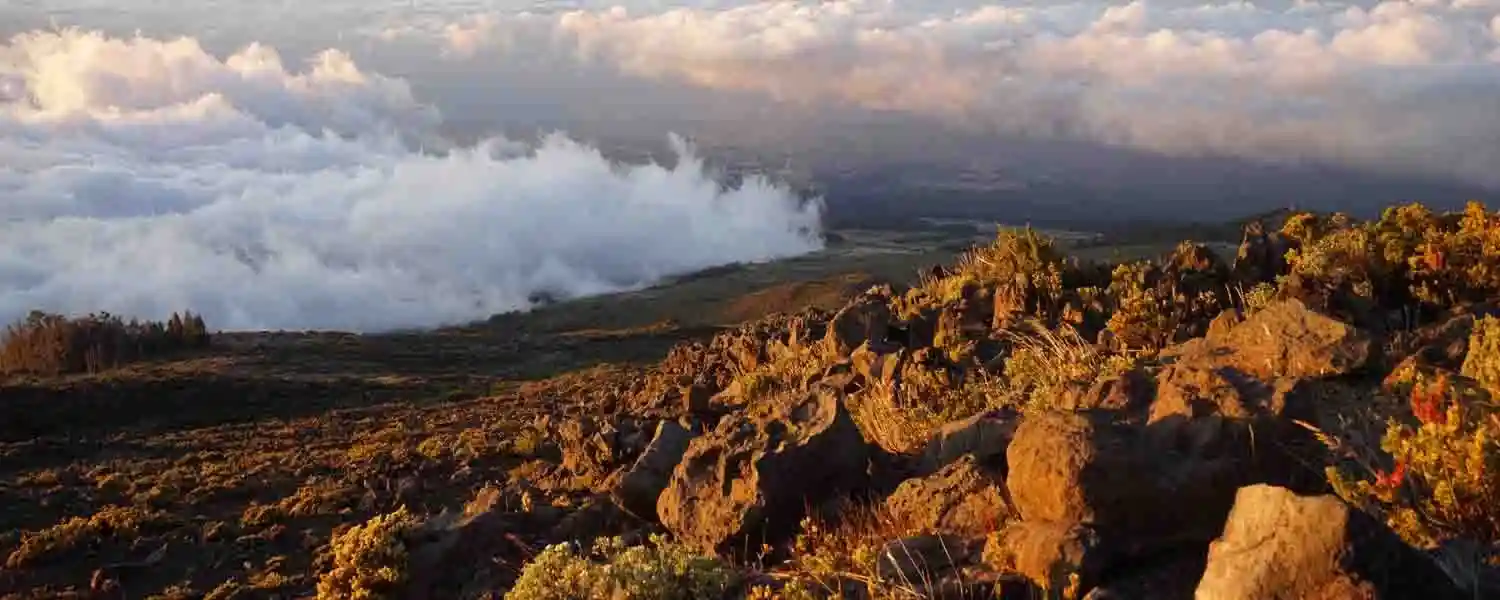 Hawaii
